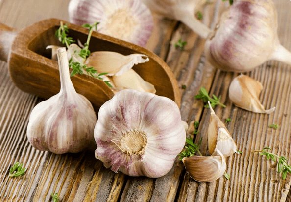 Wurm Knoblauch