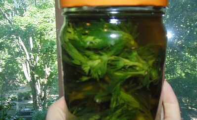 Kräutertinktur, um Körperparasiten zu beseitigen